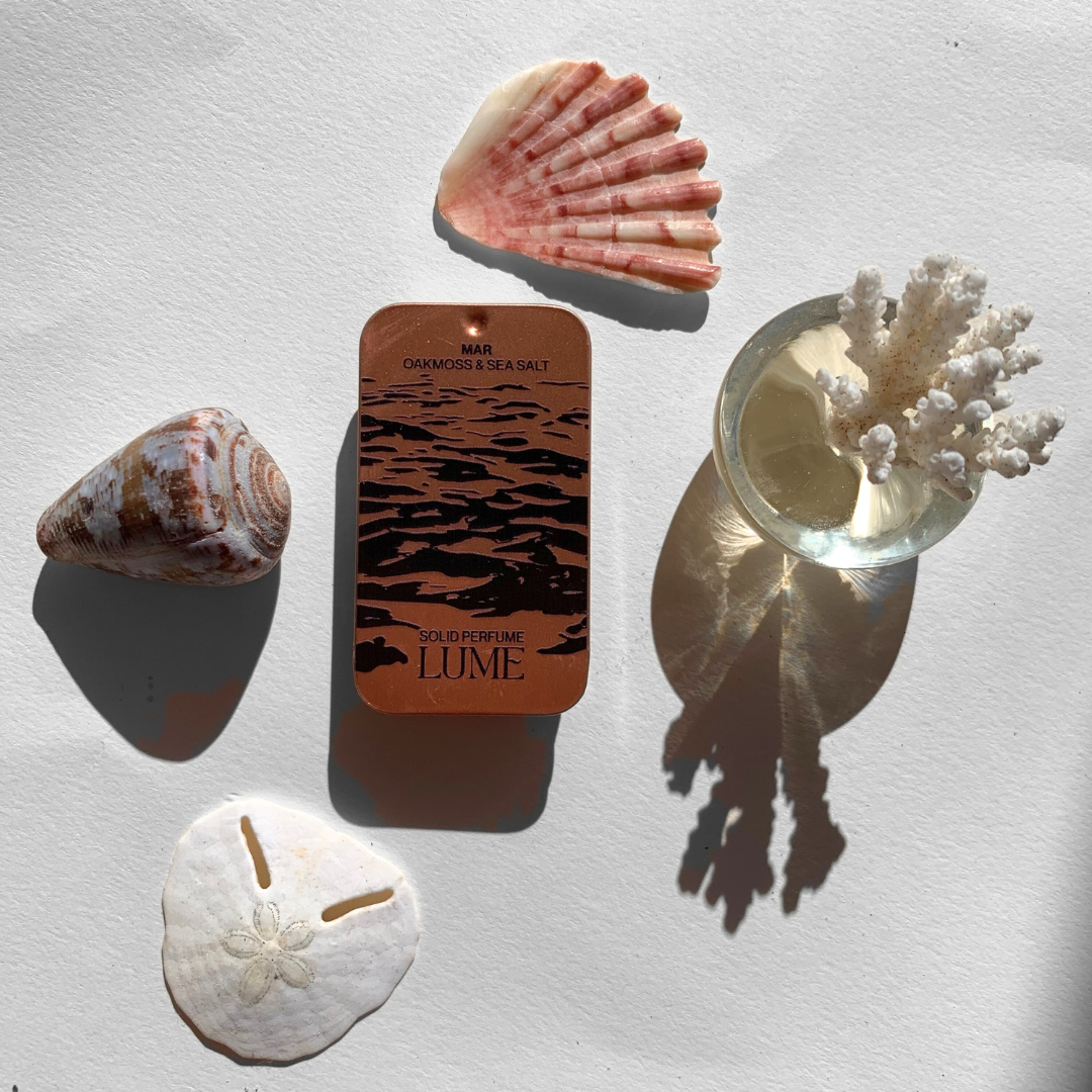 Top view of a solid perfume in a metal tin, surrounded by seashells.