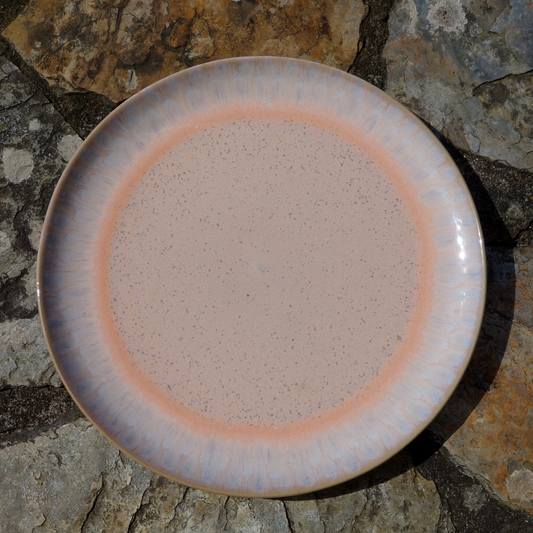 VENUS plate