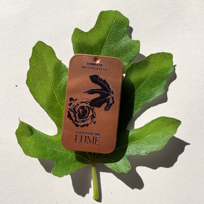 Top view of a solid perfume in a metal tin, sitting on a fig leaf.